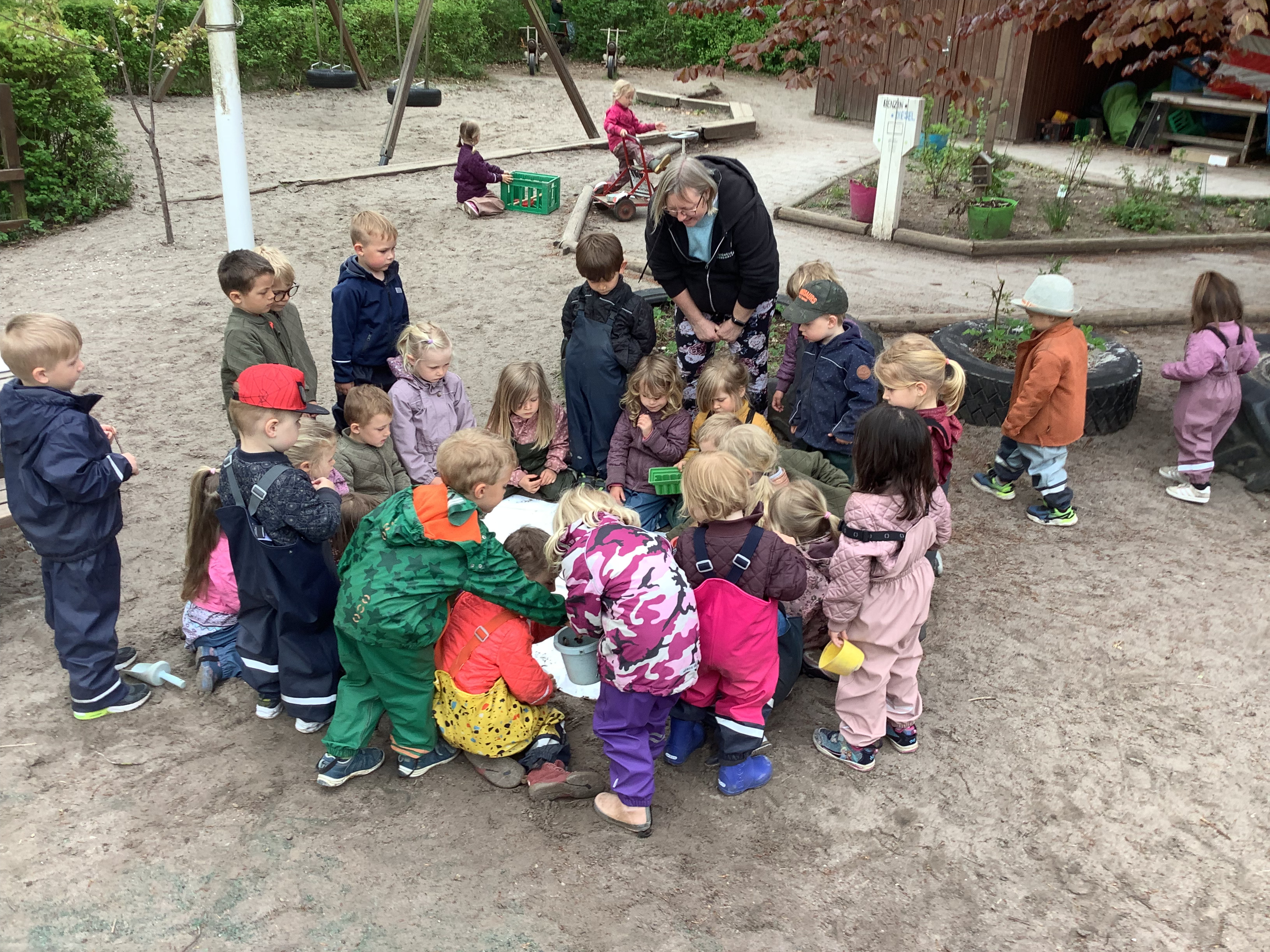 Billede af børn og en voksen på legepladsen og ser på snegle